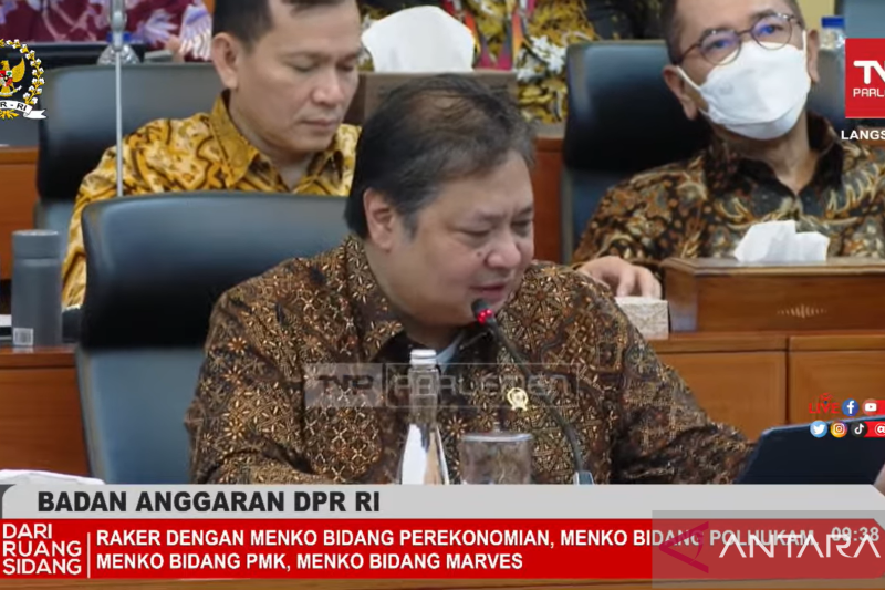 Serapan Anggaran Kemenko Perekonomian hingga Paruh Tahun Masih di Bawah Ideal