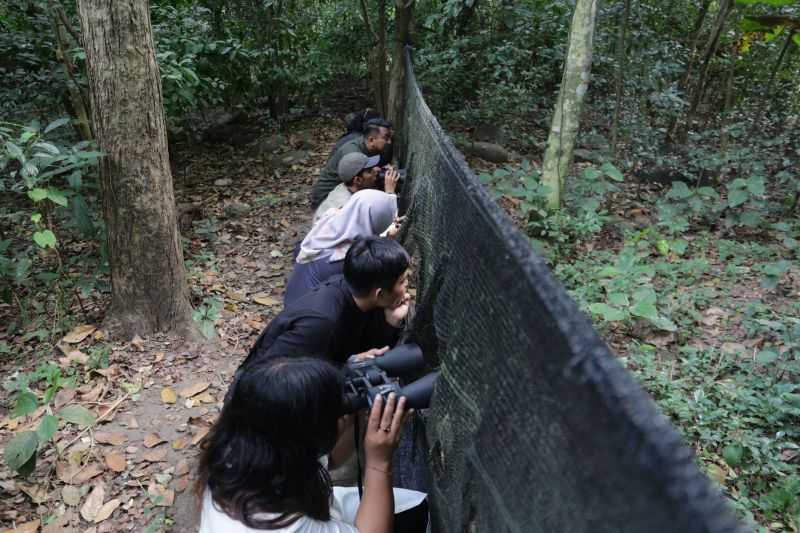 Seru! Jelajah Hutan Sambil 'Birdwatching di Taman Wisata Alam Kerandangan