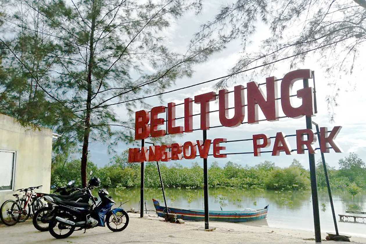 Setkab: Hutan Mangrove Belitung Masih Terjaga Kelestariannya