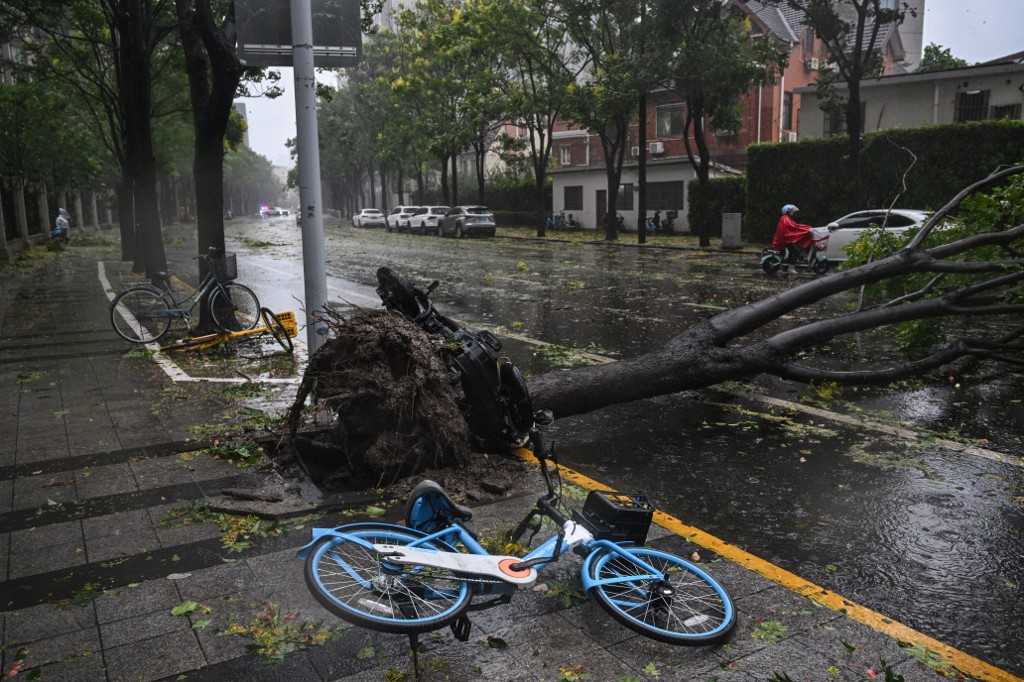 Shanghai Berbenah Usai Badai Terkuat dalam Puluhan Tahun Terjang Kota 2