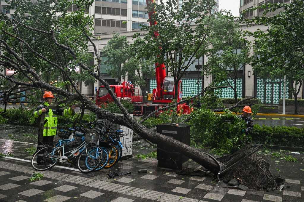 Shanghai Berbenah Usai Badai Terkuat dalam Puluhan Tahun Terjang Kota 3