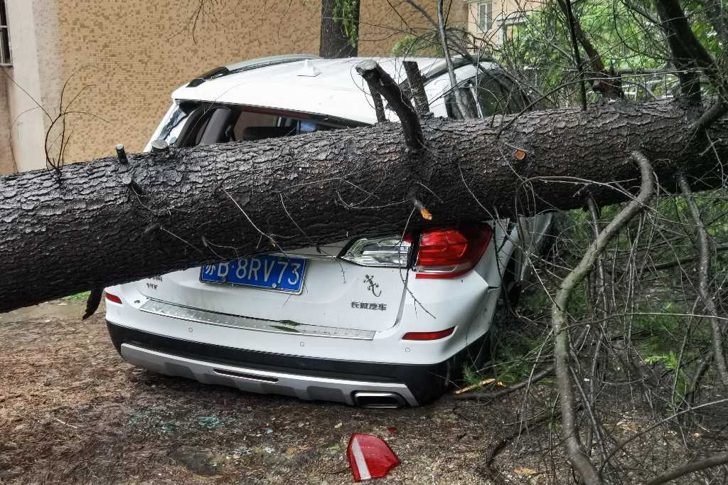 Shanghai Berbenah Usai Badai Terkuat dalam Puluhan Tahun Terjang Kota 4