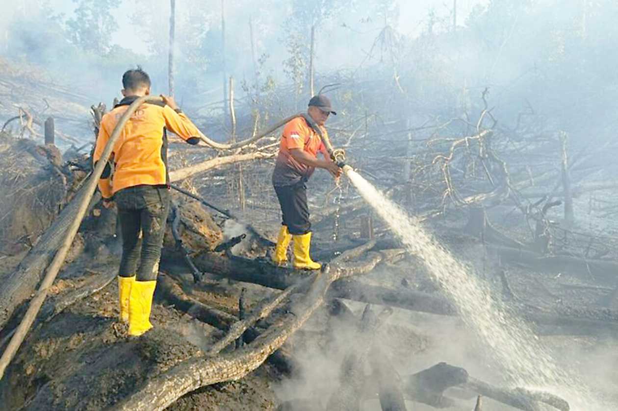 Siaga! BMKG Balikpapan Deteksi 257 Titik Panas