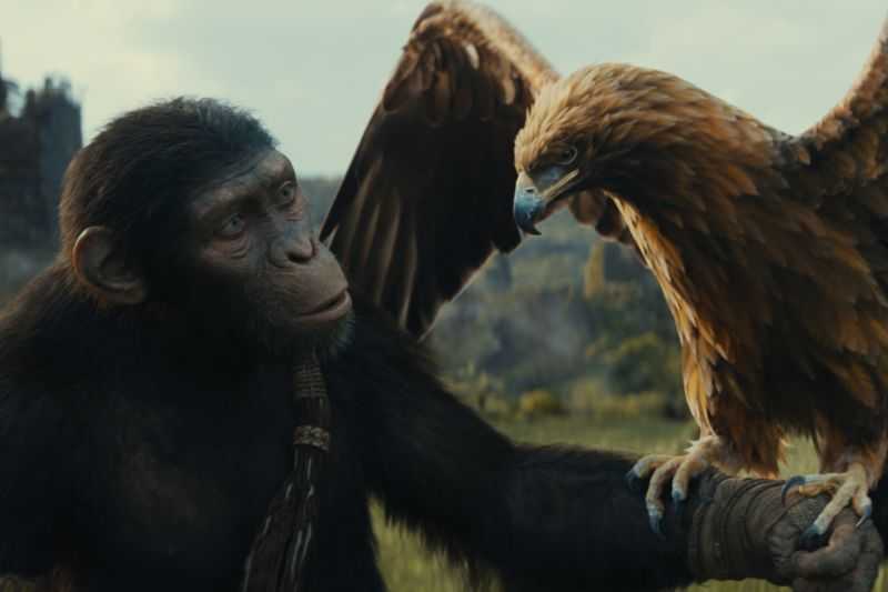 Simak Lima Fakta Menarik Film 'Kingdom of The Planet of The Apes'
