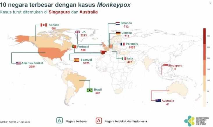 Singapura dan Australia Sudah, Kemenkes Klaim Belum Temukan Kasus Cacar Monyet di Indonesia