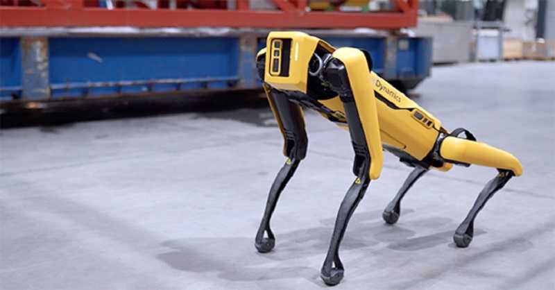 Spot, Robot Anjing Petugas Medis Covid-19 di Amerika Serikat