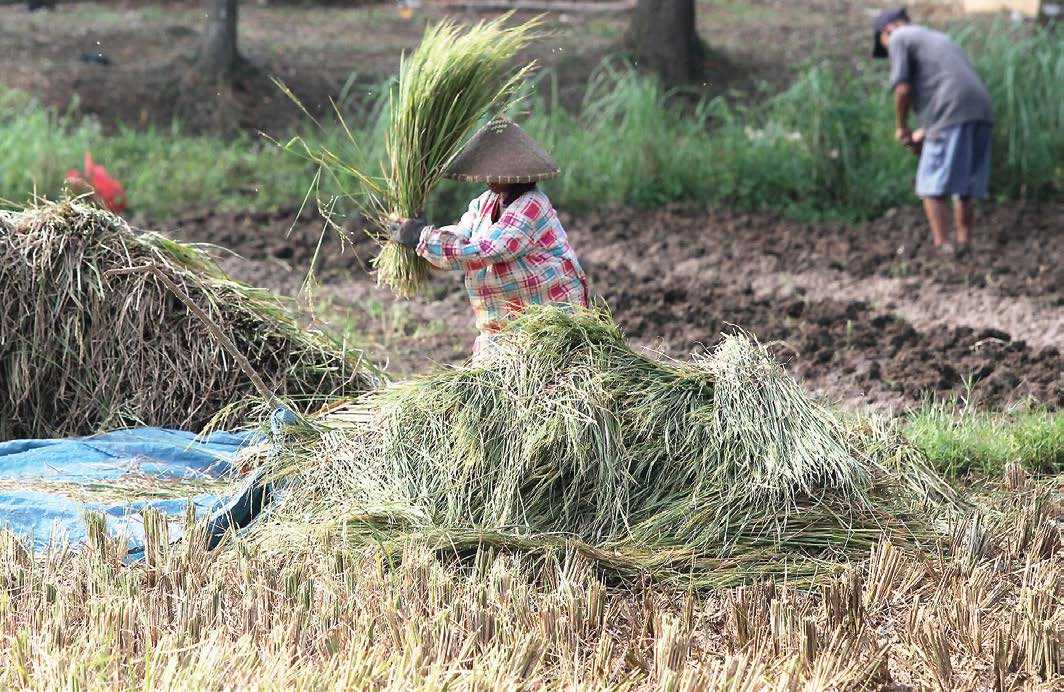 Stok Pangan Harus Dijaga hingga Akhir Tahun