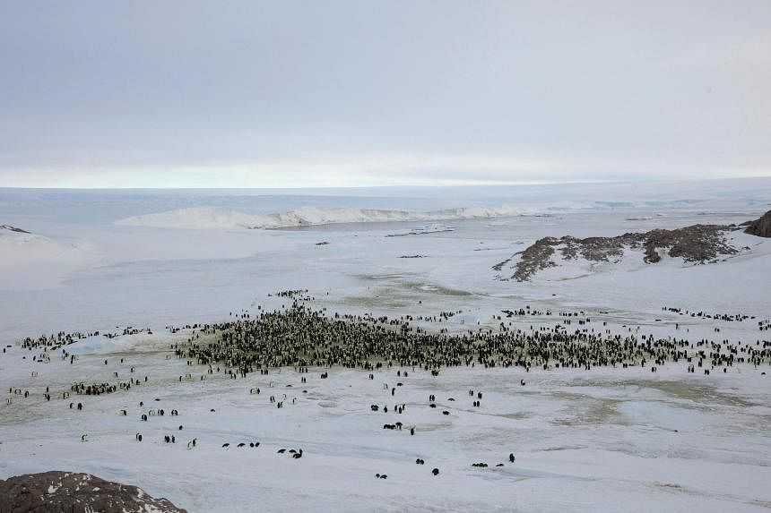 Studi: Es di Antartika Hadapi Masa Kritis Pencairan