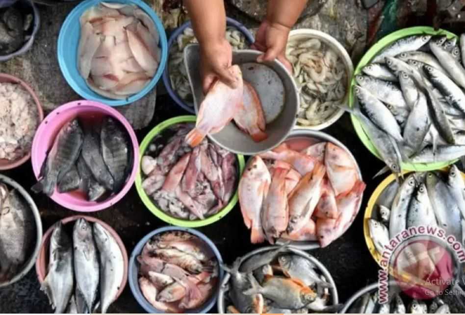 Studi: Konsumsi Ikan Sarden hingga Teri Cegah 750 Ribu Kematian pada 2050