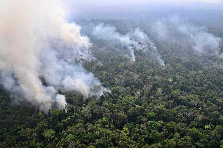 Studi: Penggabungan Langkah-langkah Iklim Jadi Kunci untuk Pangkas Emisi