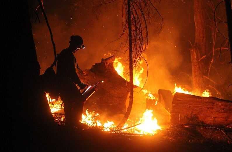 Studi: Polusi Kebakaran Hutan di California Tewaskan 52.000 Orang dalam 1 Dekade