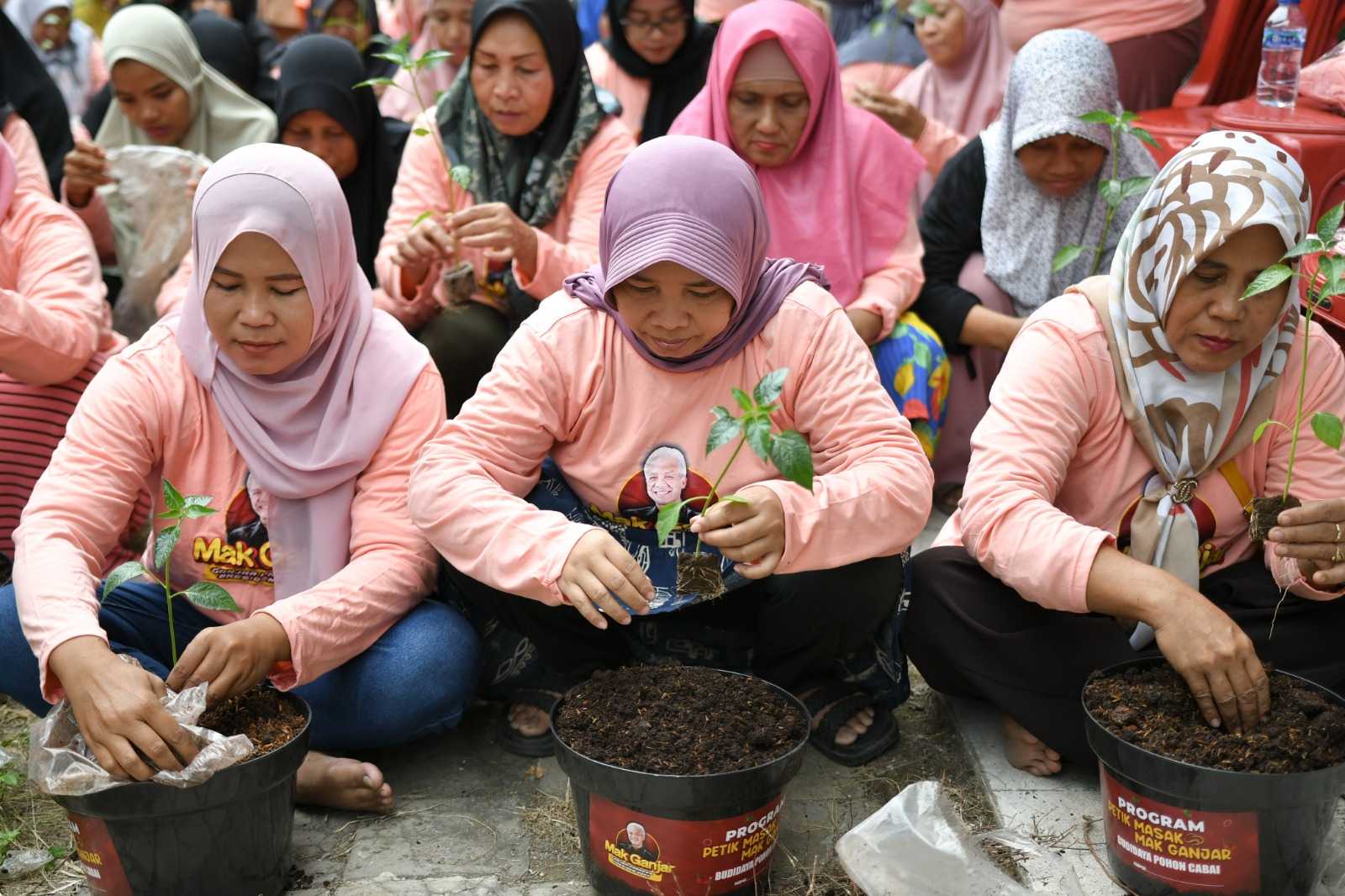 Sukarelawan Mak Ganjar Ajak Ibu-ibu di Pegadungan Budidaya Cabai 1