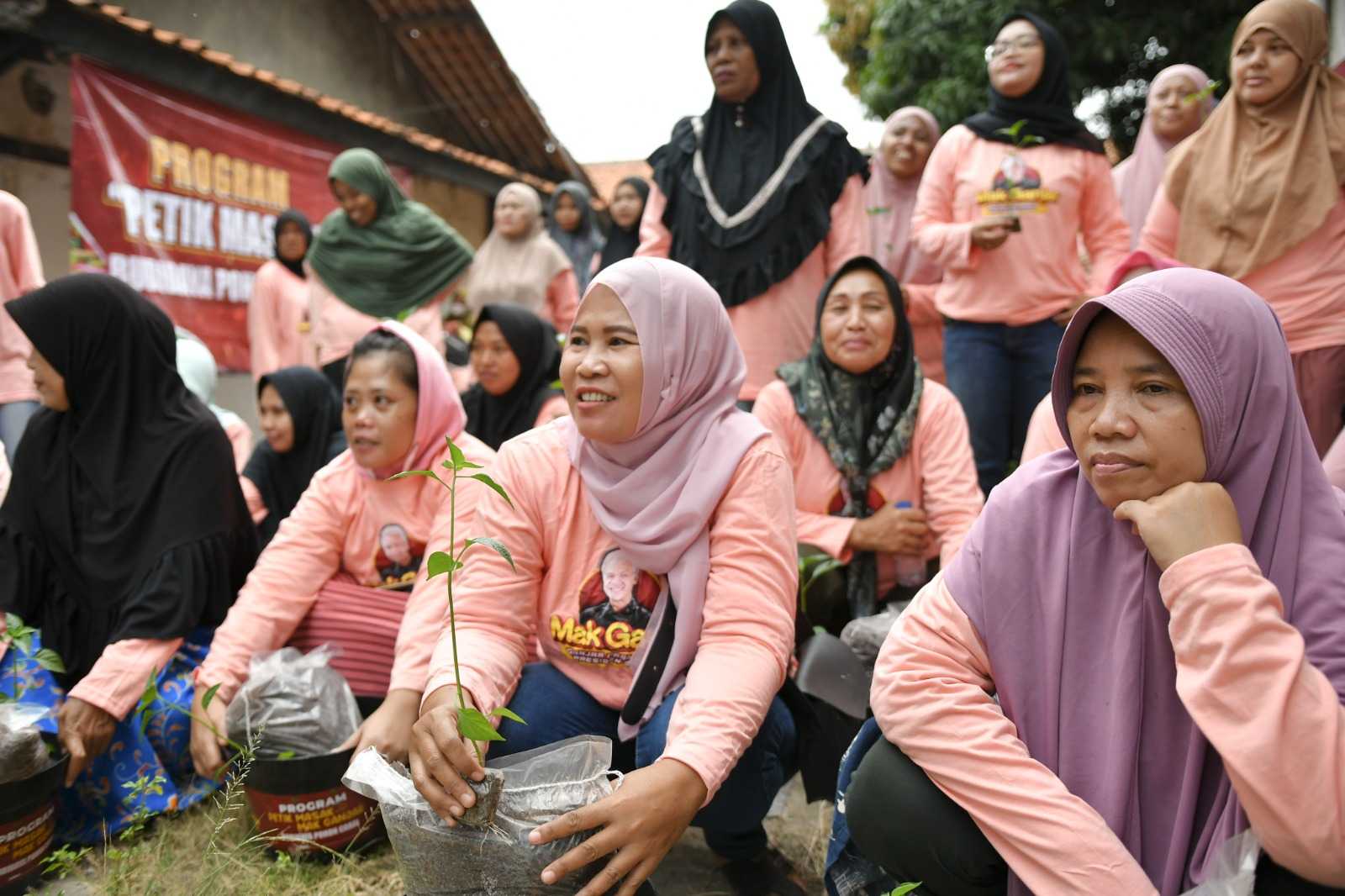 Sukarelawan Mak Ganjar Ajak Ibu-ibu di Pegadungan Budidaya Cabai 3