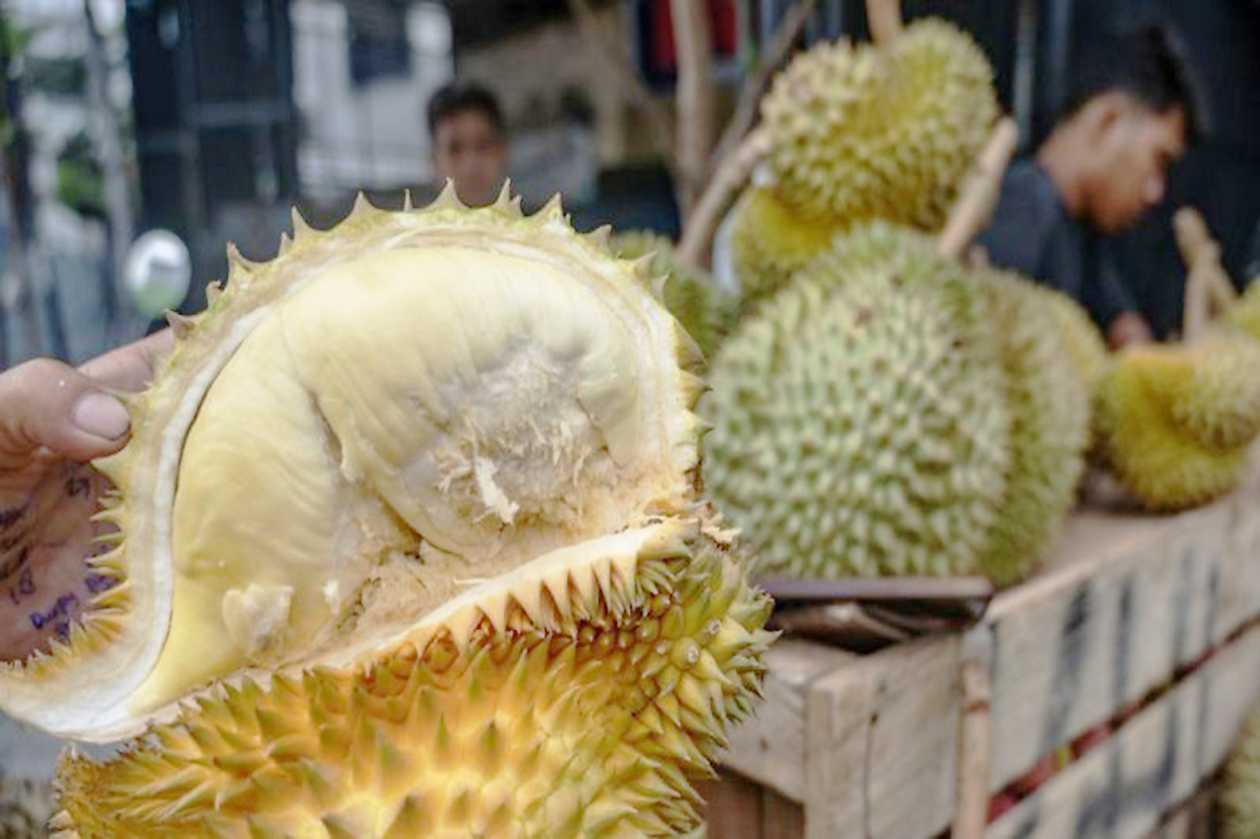 Sulteng Minta Parigi Moutong Konsisten Pasok Durian ke Pasar Ekspor