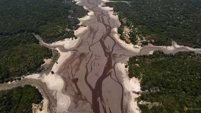 Sungai Amazon Kering, Lalu Lintas Sungai dan Ekspor Jagung Brazil Terhambat