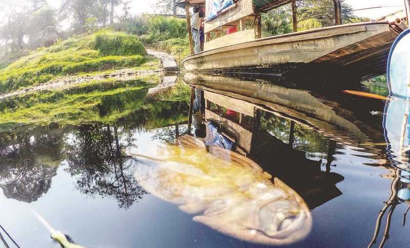 SUNGAI CILEUNGSI TERCEMAR LIMBAH INDUSTRI