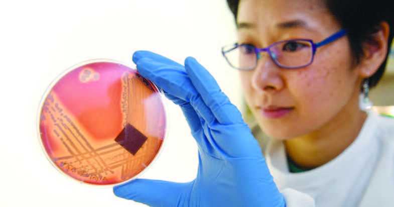 “Superbug yang Kebal Antibiotik Sebabkan 1,2 Juta Kematian