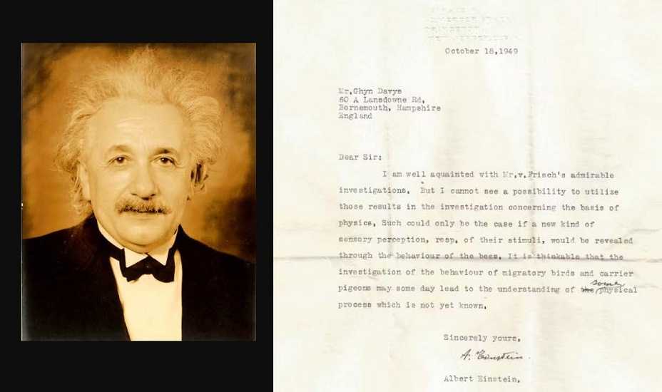 Surat Albert Einstein yang Membahas Hubungan Fisika-Biologi Ditemukan