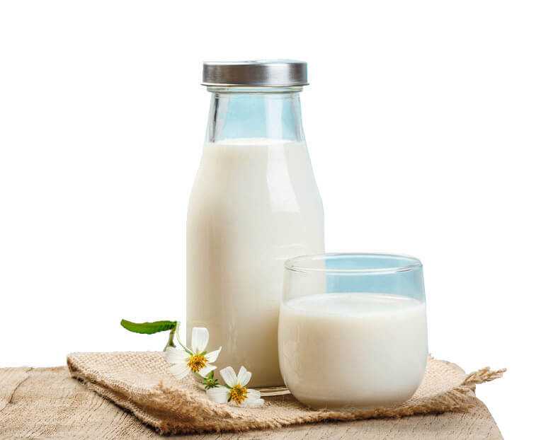 Susu Oat Lebih Padat Kalori Dibandingkan Susu Biasa
