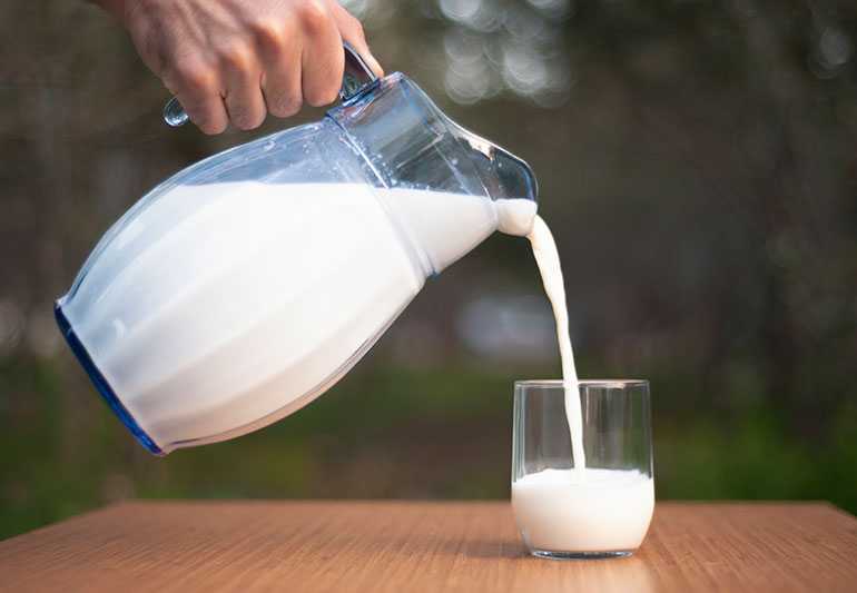 Susu Segar Pasteurisasi Lebih Kaya Kandungan Gizi