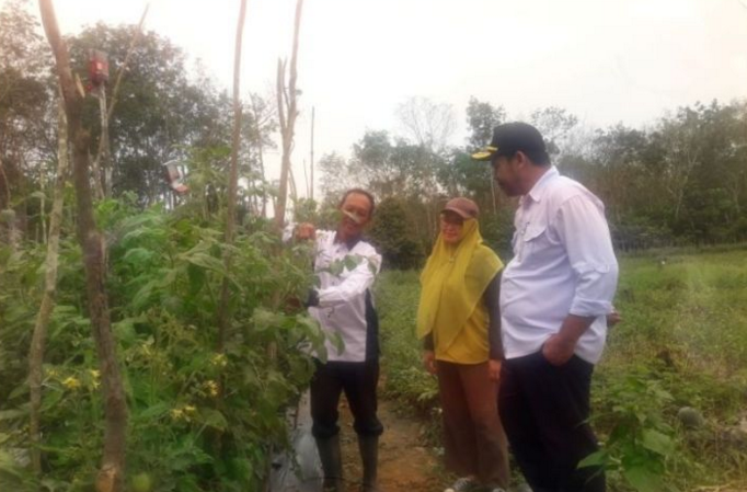 Tabalong Dorong  10 Kampung Hortikultura Penyangga IKN