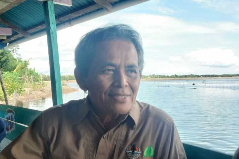 Tahun Depan, BRGM Targetkan 25 Ribu Hektare Mangrove di Kaltara