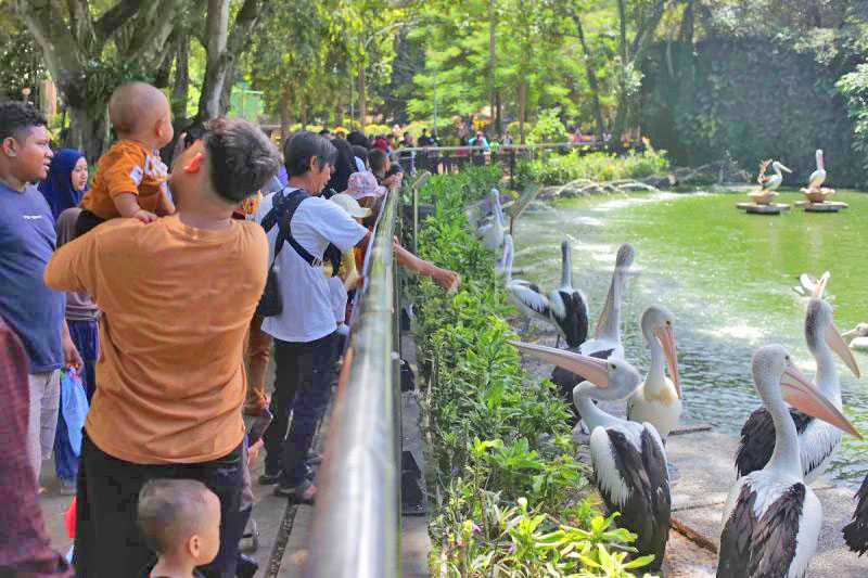 Taman Margasatwa Ragunan dikunjungi 27.964 wisatawan