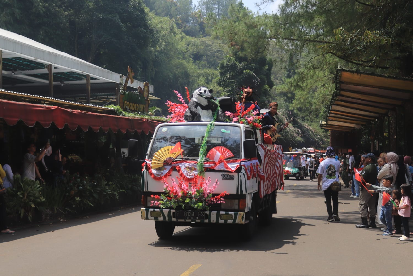 Taman Safari Bogor Gelar Mini Parade Peringati HUT Kedatangan Giant Panda Cai Tao dan Hu Chun