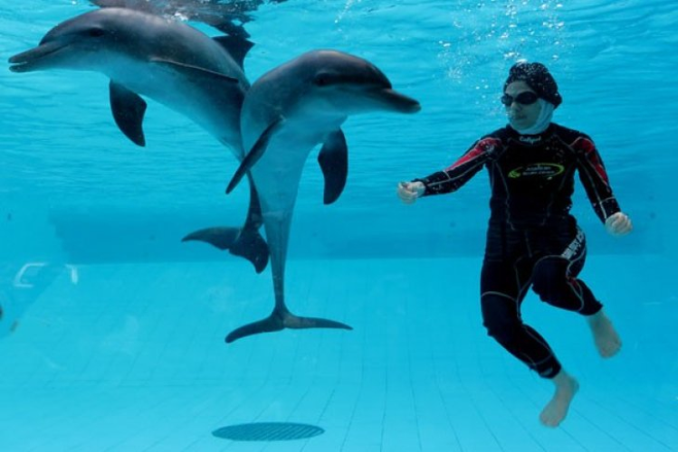 Taman Safari Bogor Tawarkan Keseruan Swimming With Dolphin, Cuma Segini Tarifnya!