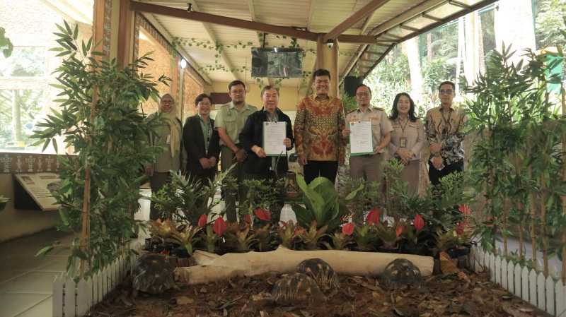 Taman Safari Bogor Terima 4 Ekor Kura-kura Madagaskar Sitaan BKI