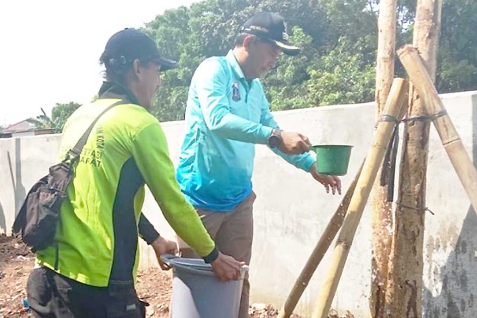 Tamhut DKI Kembali Tanam Pohon Tabebuya di Palmerah