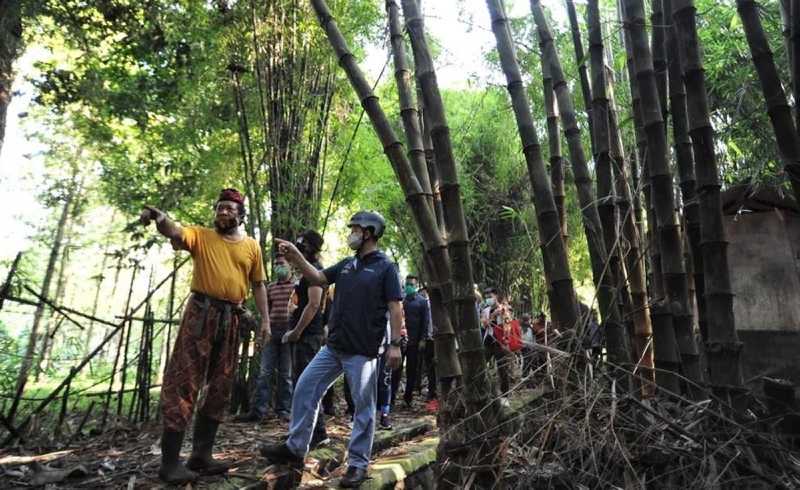 Tanam Bambu di Hutan Kota