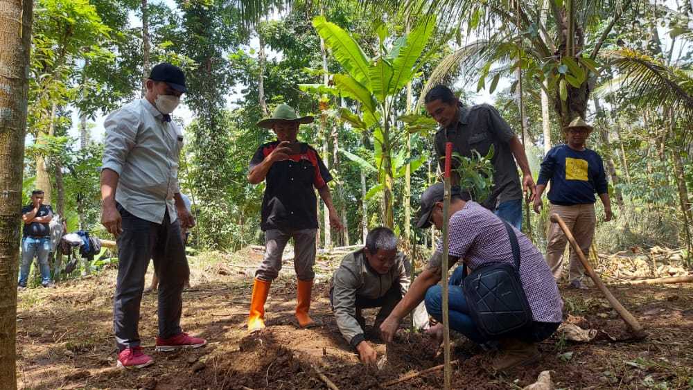 Target Bisa Panen Rp 50 Miliar Setahun, Warga Terdampak Tanam Bibit Durian dan Alpukat di Sabuk Hijau Bendungan Bener