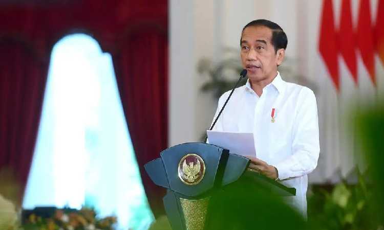 Tegas! Presiden Joko Widodo Larang Pengendara Mobil dengan Bahan Bakar Fosil Pindah ke Ibu Kota Negara Baru Nusantara dan Akan Prioritaskan Pejalan Kaki