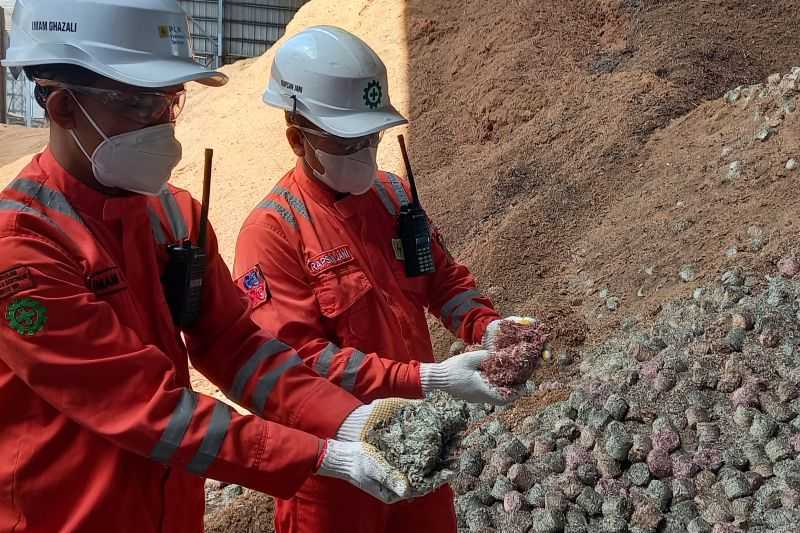 Tekan Emisi, PLN IP Manfaatkan Beragam Biomassa di PLTU Jeranjang