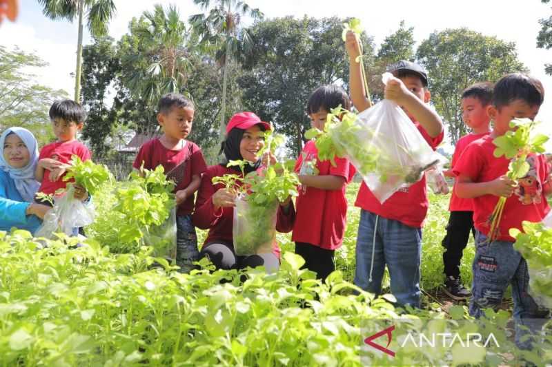 Tekan Stunting, Babel Galakkan Gerakan Gemar Makan Sayur