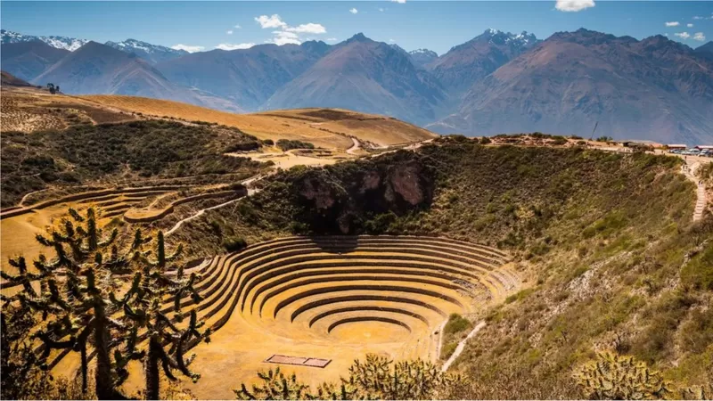 Teknik Pertanian Bertingkat yang Inovatif, Kunci Suku Inca Jadi Kerajaan Terbesar dalam Sejarah Amerika Selatan