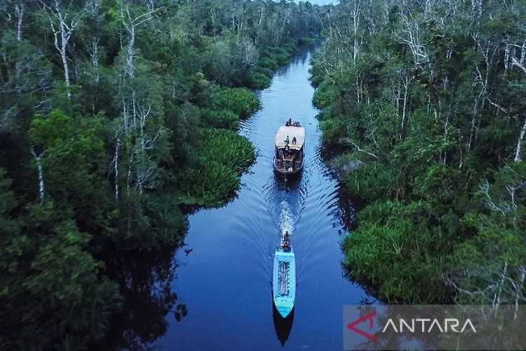 Teknologi dan Inovasi Optimalkan Kinerja Industri Kehutanan