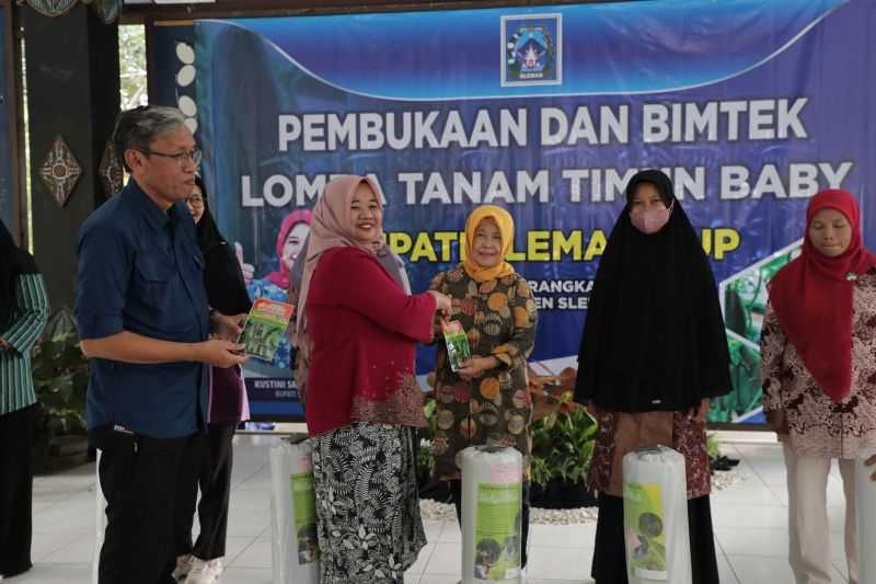 Terobosan Keren, Sleman Gelar Lomba Tanam Timun Baby Bagi Kelompok Wanita Tani