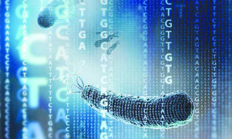Terobosan Kode Genetik Berpotensi Menjadi Revolusi Biologi