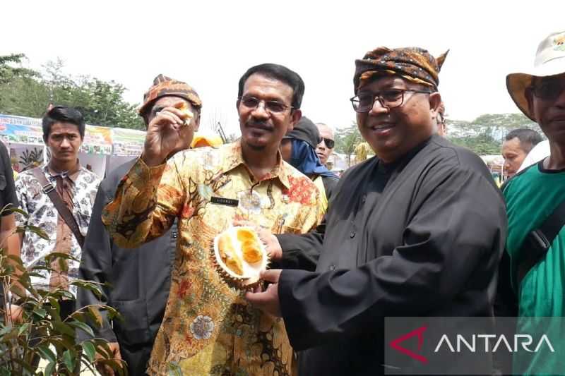 Terobosan Kreatif, Kecamatan Cikakak Dijadikan Pusat Durian Unggul Kabupaten Sukabumi