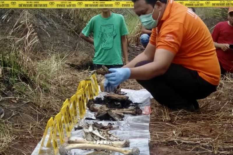 Terungkap Identitas Kerangka Manusia di Kebun Sawit Tanah Laut Kalsel