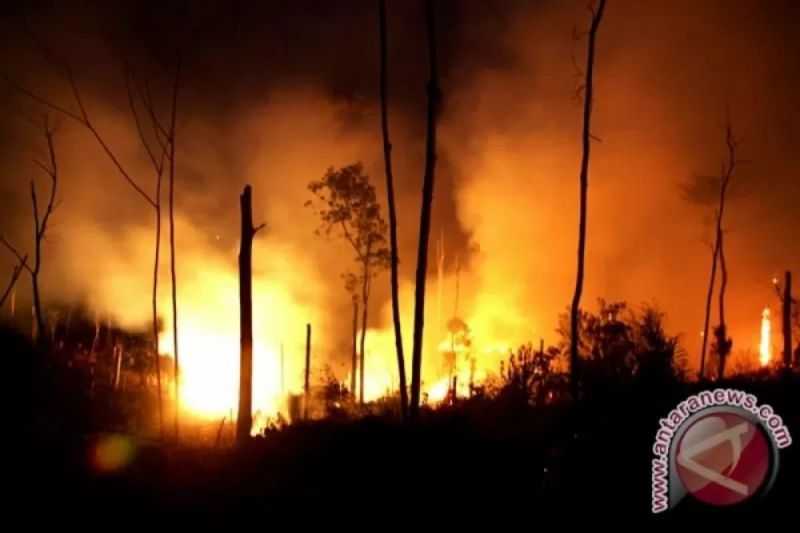 Terus Meluas, Kebakaran Besar yang Melanda California Ini Lahap 350 Ribu Hektare Lahan