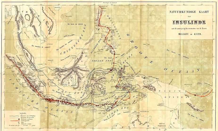 The Malay Archipelago, Buku yang Mengguncang Dunia Sains