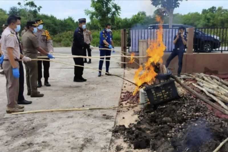 Tindak Tegas, Karantina Riau Musnahkan 45,5 Ton Bawang Merah dan Mangga Malaysia