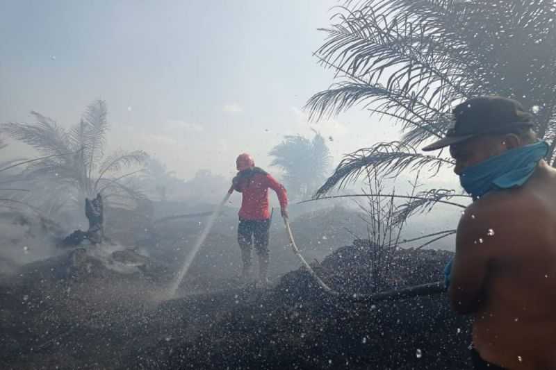 Tindak Tegas Semoga Bencana Asap Tidak Terulang, 9 Tersangka Kasus Karhutla di Riau Diproses Hukum
