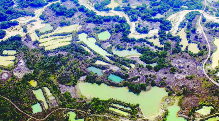 Tingkat Hilangnya Hutan Hujan Tropis Capai 10 Lapangan Sepak Bola Per Menit