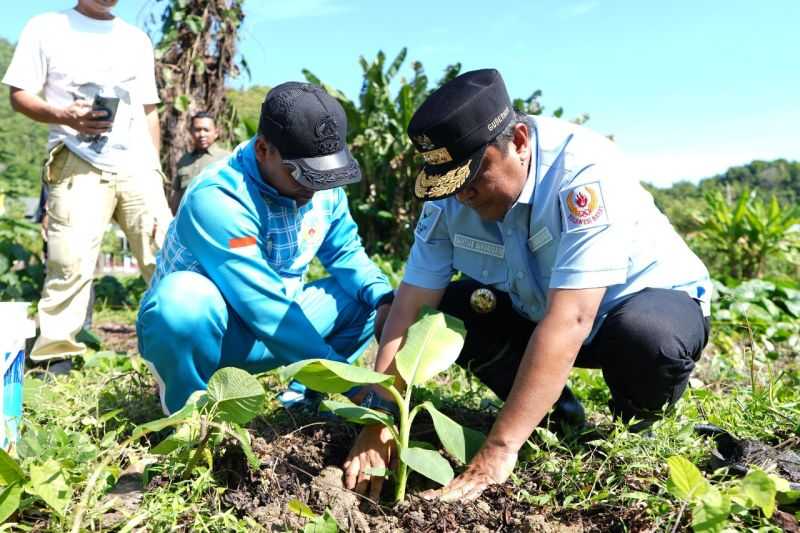 Tingkatkan Ekonomi Warga dan Cegah Longsor, Pemprov Sulbar Siapkan Satu Juta Bibit Sukun