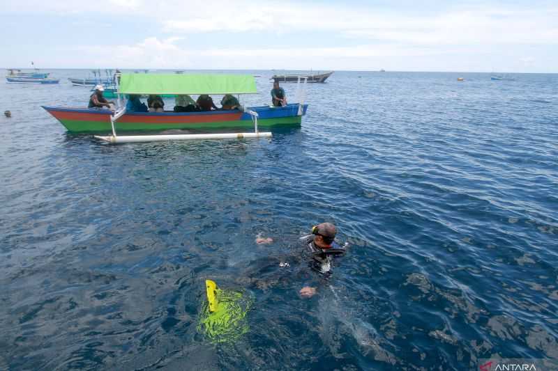 Tingkatkan Jumlah Kunjungan Wisatawan, Bank Indonesia Dukung Pengembangan Wisata Hiu Paus Gorontalo
