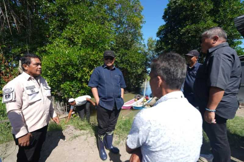 Tingkatkan Kesejahteraan Warga, Sulbar Manfaatkan Mangrove Kembangkan Kepiting Bakau